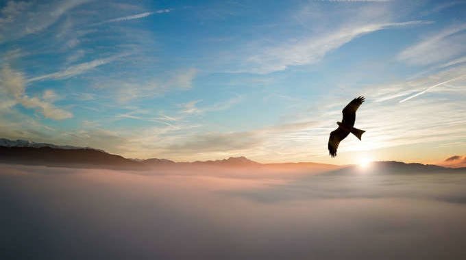 Grandeza-de-espíritu-somos-conscientes-de-nuestro-impacto-en-todo